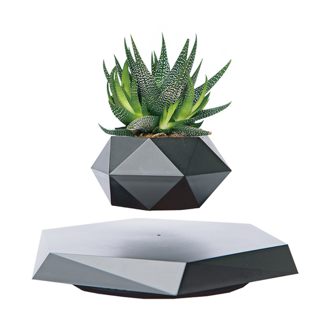Magnetic Hovering Planter with LED Light – Rotating Indoor Display for Home & Office
