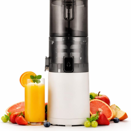 Heavy Duty Electric Cold Press Juicer 150W Quiet Motor Slow Speed Fruit and Vegetable Processor