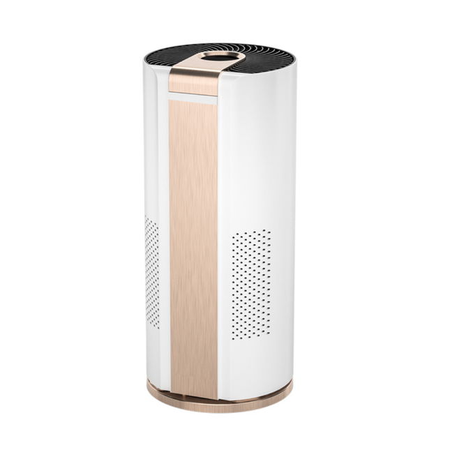 Smart Air Purifier High Efficiency Low Noise Large Room Negative Ion