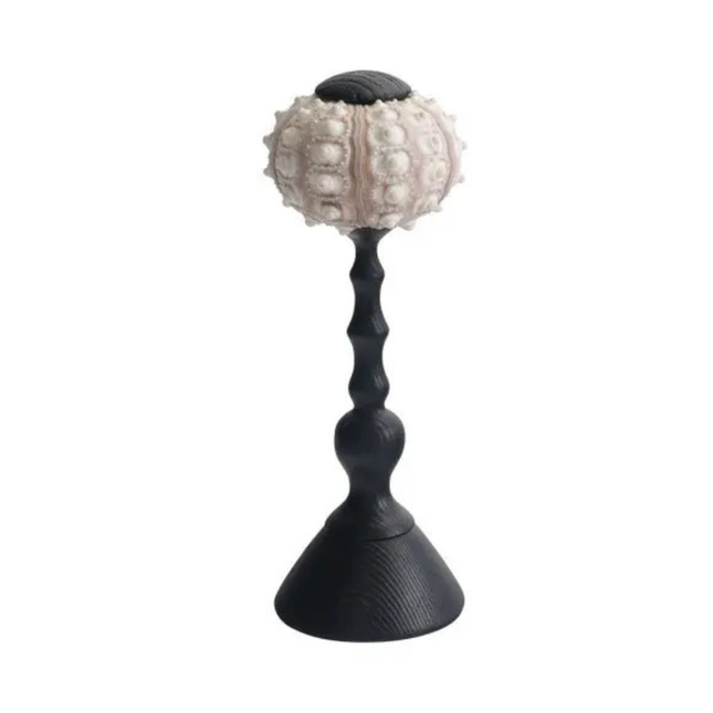 Ocean-Inspired Shell LED Table Lamp – Coastal Resin Accent Light for Home Décor