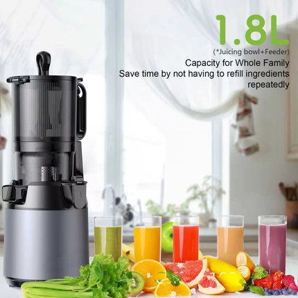 Household Slow Juicer Stainless Steel Fruit and Vegetable Juice Extractor