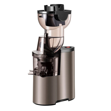 Compact 250W Electric Juicer with Automatic Pulp Ejection and Stainless Steel Housing
