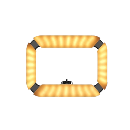 Rechargeable Handheld LED Ring Light Video Rig 20W Bi-Colour 2500–8500K with Phone Mount