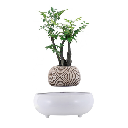Magnetic Levitating Ceramic Flower Pot – Modern Floating Planter for Home & Office Décor
