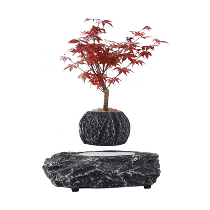 Magnetic Levitating Plant Holder – Contemporary Resin Air-Floating Planter for Home & Office
