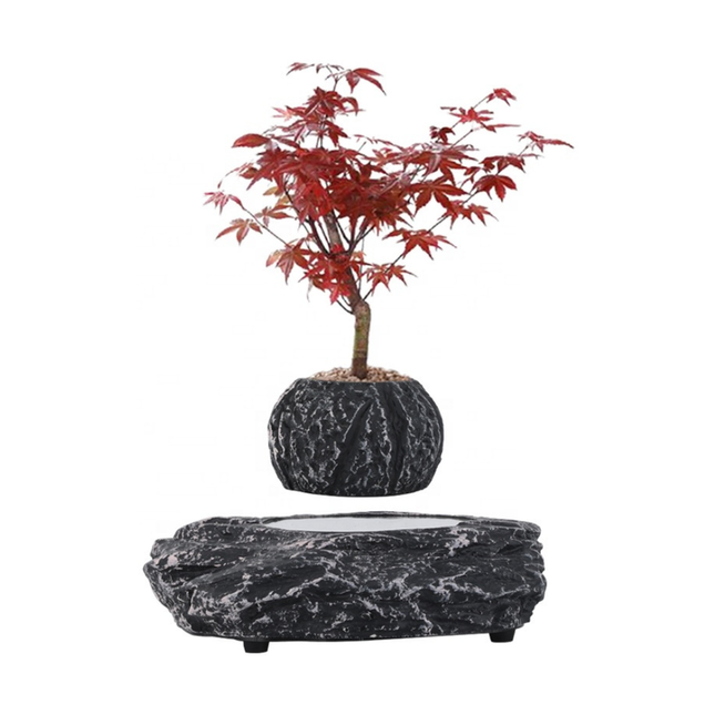 Magnetic Levitating Plant Holder – Contemporary Resin Air-Floating Planter for Home & Office