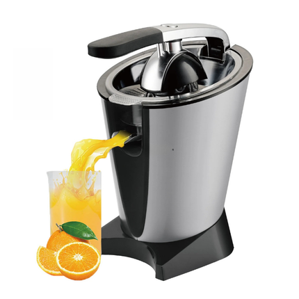 Portable 800W Fruit Juicer with Stainless Steel Body and Large Juice Container Design