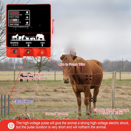 Portable High-Voltage Pulse Controller with Remote Control and Short-Circuit Alert