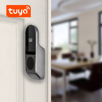 Tuya Smart Door Lock with Fingerprint, RFID, Password and Mechanical Key