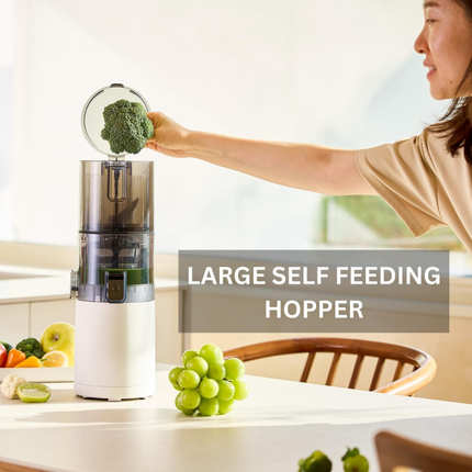 Heavy Duty Electric Cold Press Juicer 150W Quiet Motor Slow Speed Fruit and Vegetable Processor