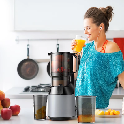 Household Slow Juicer Stainless Steel Fruit and Vegetable Juice Extractor