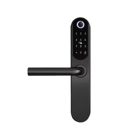 Waterproof Smart Fingerprint Sliding Door Lock with App Control for Aluminum Doors