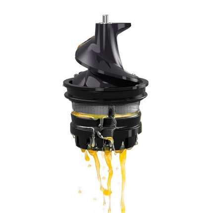 Compact 250W Electric Juicer with Automatic Pulp Ejection and Stainless Steel Housing