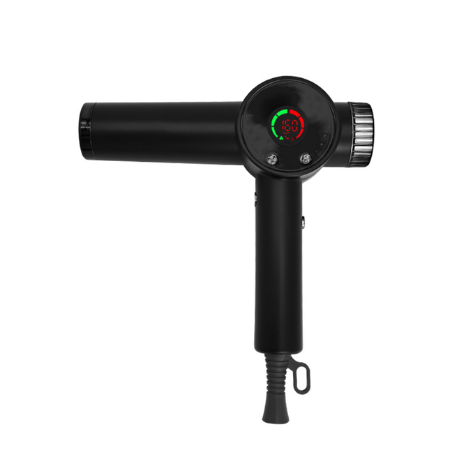 Professional 1800W Ionic Hair Dryer 110000 RPM Fast Drying Blow Dryer