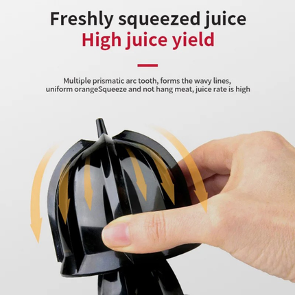 Portable 800W Fruit Juicer with Stainless Steel Body and Large Juice Container Design