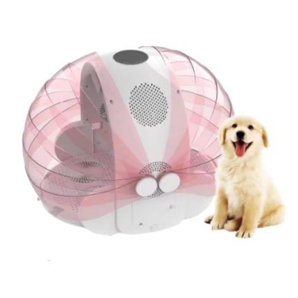 Automatic Pet Dryer Box for Cats and Small Dogs with Foldable Design, 4 Wind Speeds, and Adjustable Temperature