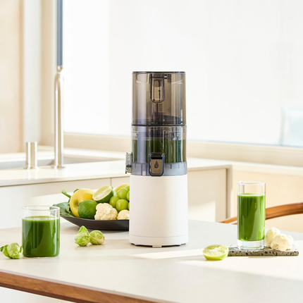 Heavy Duty Electric Cold Press Juicer 150W Quiet Motor Slow Speed Fruit and Vegetable Processor