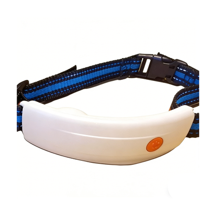 Waterproof Pet Health and Activity Tracker with 4G LTE, Electronic Fence and Live Monitoring