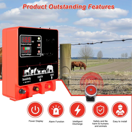 Portable High-Voltage Pulse Controller with Remote Control and Short-Circuit Alert