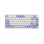 Purple White Blue -Flying Fish Switch