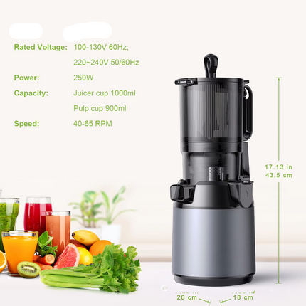 Household Slow Juicer Stainless Steel Fruit and Vegetable Juice Extractor