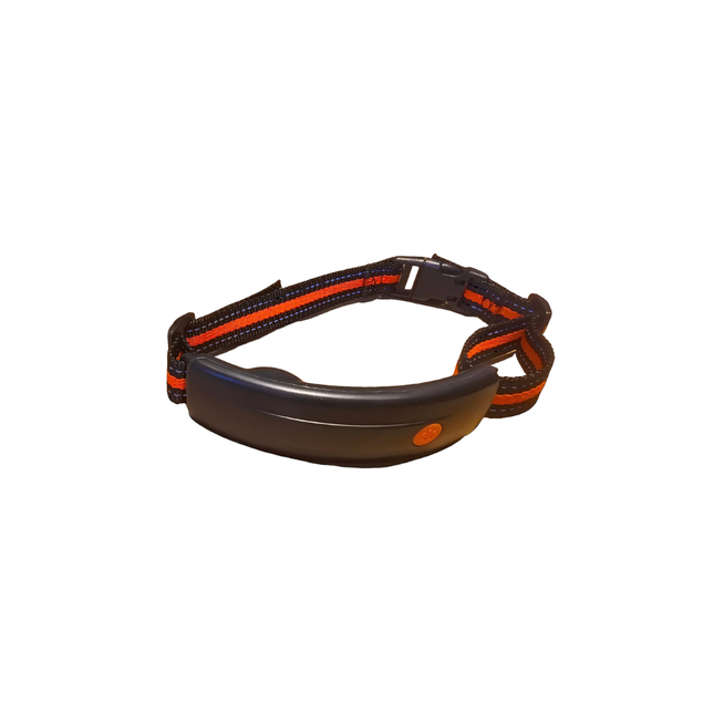 Waterproof Pet Health and Activity Tracker with 4G LTE, Electronic Fence and Live Monitoring