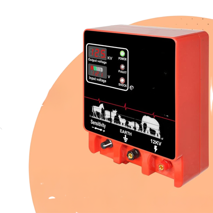 Portable High-Voltage Pulse Controller with Remote Control and Short-Circuit Alert