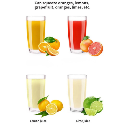 Portable 800W Fruit Juicer with Stainless Steel Body and Large Juice Container Design