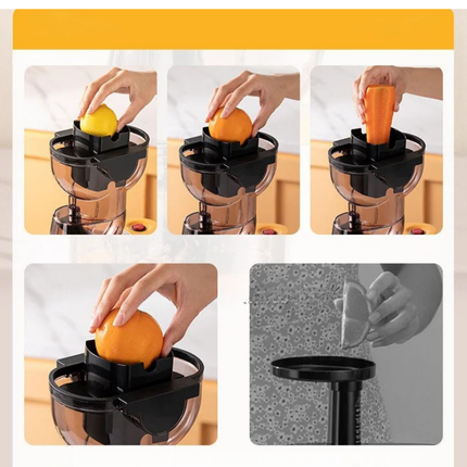 Compact 250W Electric Juicer with Automatic Pulp Ejection and Stainless Steel Housing