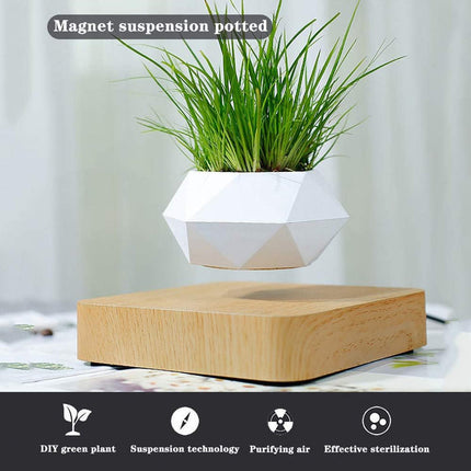 Modern Floating Air Planter with Wooden Base Stylish Indoor Bonsai Pot