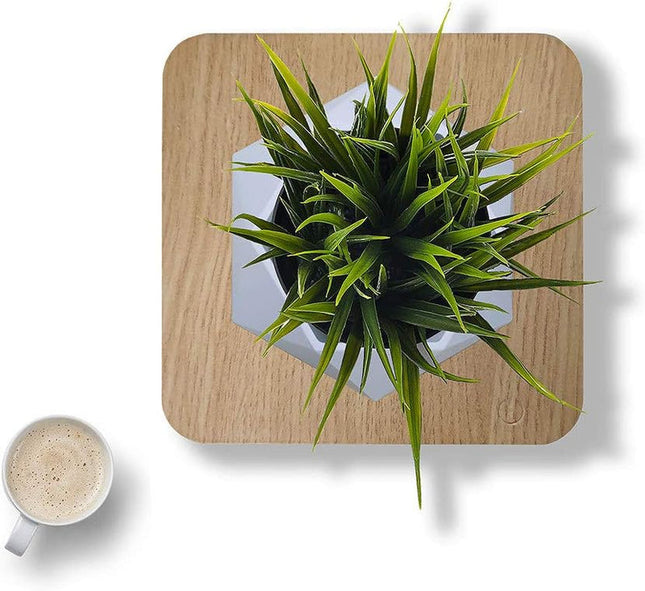 Modern Floating Air Planter with Wooden Base Stylish Indoor Bonsai Pot