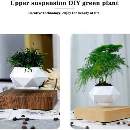 Modern Floating Air Planter with Wooden Base Stylish Indoor Bonsai Pot