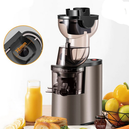 Compact 250W Electric Juicer with Automatic Pulp Ejection and Stainless Steel Housing