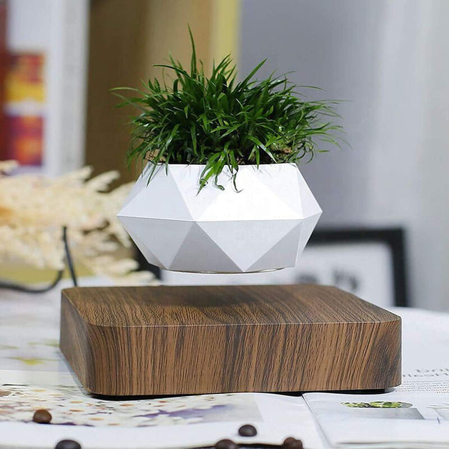 Levitating Floating Plant Pot with Wooden Base  360° Rotating Indoor Planter