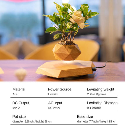 Levitating Rotating Plant Pot – USB Powered Anti-Gravity Desktop Decor