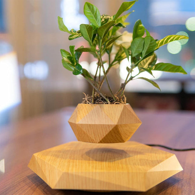 Levitating Rotating Plant Pot – USB Powered Anti-Gravity Desktop Decor