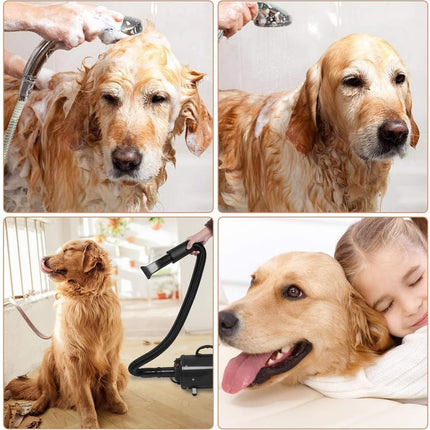 Professional 2400W Pet Grooming Dryer for Dogs & Cats with Adjustable Airflow and 3 Nozzles