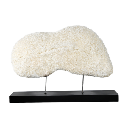 Coastal-Inspired Coral Resin Display Accent for Home & Office Styling