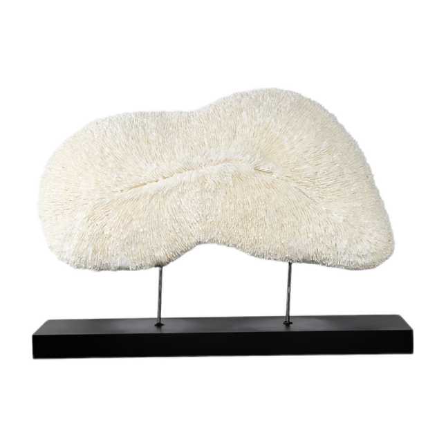 Coastal-Inspired Coral Resin Display Accent for Home & Office Styling