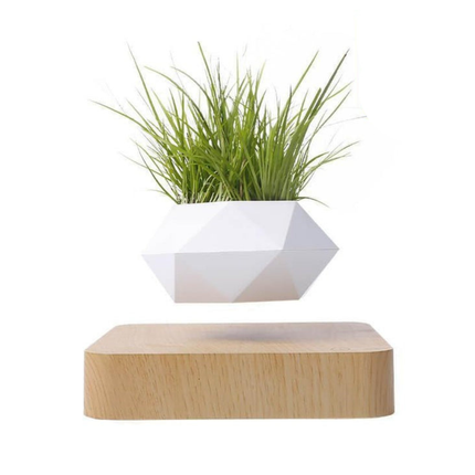 Magnetic Levitation Floating Plant Holder with 360° Rotation – Modern Home & Office Accent