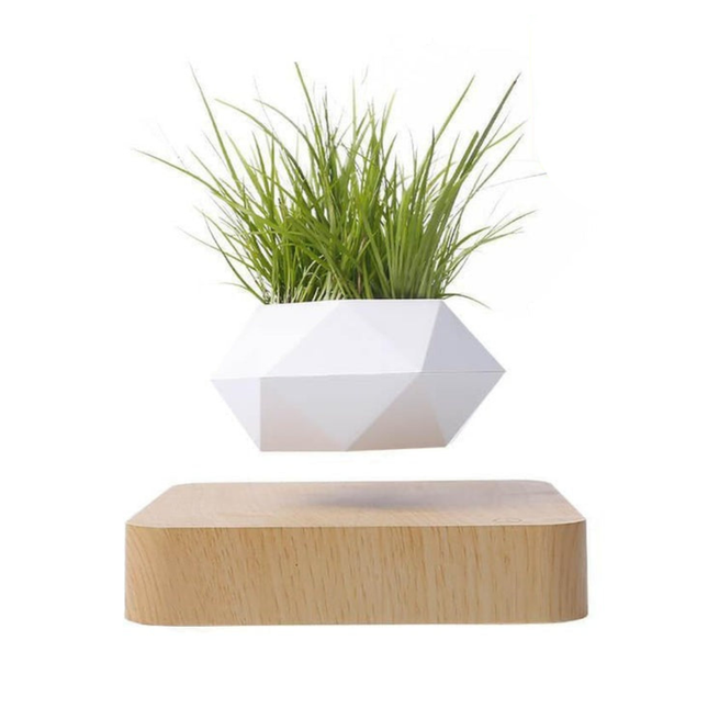 Magnetic Levitation Floating Plant Holder with 360° Rotation – Modern Home & Office Accent
