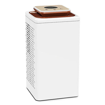 Compact Smart Dehumidifier 2.7L for Home Use with Air Ionizer, Dual Fan & Timer