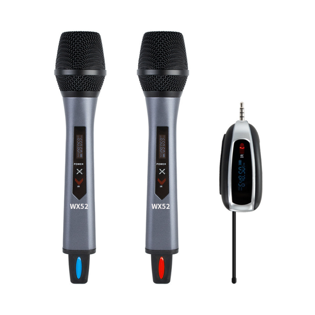 Portable 2 Wireless Microphones with Receiver, USB Charging and 6.35mm Audio Adapter for Karaoke and Events