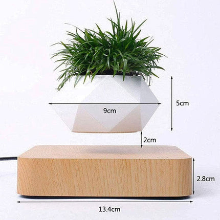 Magnetic Levitation Floating Plant Holder with 360° Rotation – Modern Home & Office Accent