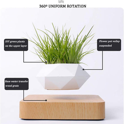 Magnetic Levitation Floating Plant Holder with 360° Rotation – Modern Home & Office Accent