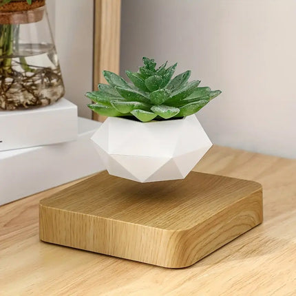 Magnetic Levitation Floating Plant Holder with 360° Rotation – Modern Home & Office Accent