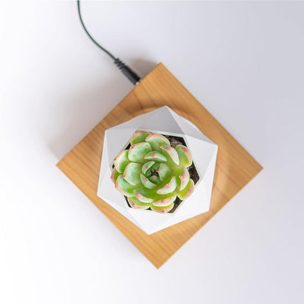 Magnetic Levitation Floating Plant Holder with 360° Rotation – Modern Home & Office Accent