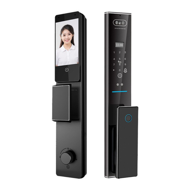 Face Recognition Fingerprint Password Swiping Card App Control Cast Aluminum Door Lock with Cloud & Memory Card Storage