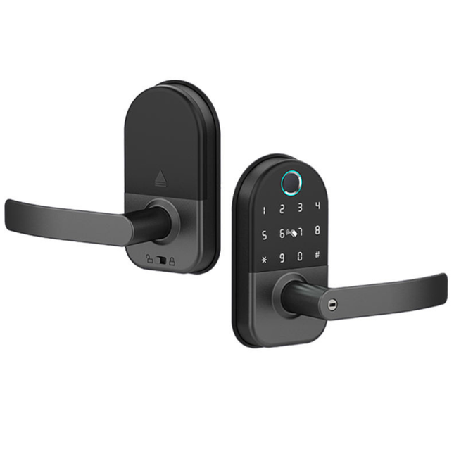 Smart Fingerprint Door Lock with App Control Password Card Key Access for Wooden Doors
