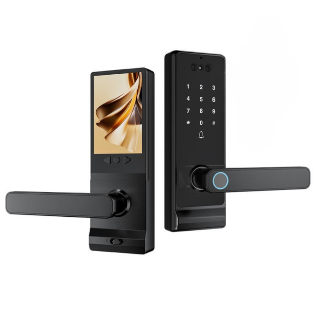 Aluminium Alloy Smart Door Lock with Face Recognition, Fingerprint, Card and Key Access